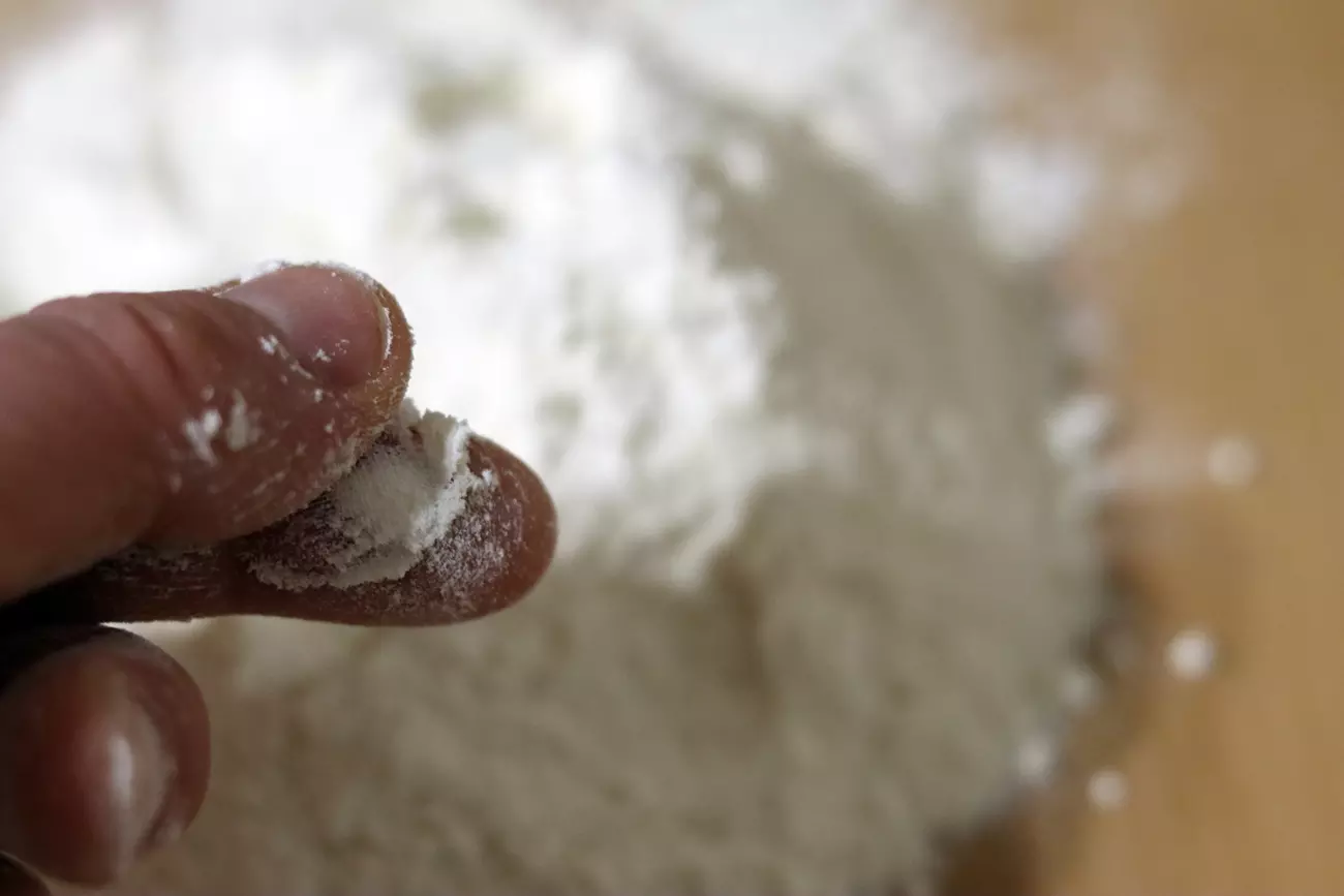 The tiny particles and texture of diatomaceous earth